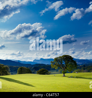 Idillico paese di scena, Wray, vicino a Ambleside, Lake District, Cumbria, Regno Unito. Foto Stock