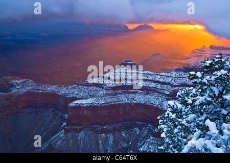 Una splendida alba a Yaki Point durante una tempesta di neve di marzo al margine sud del Grand Canyon National Park. Foto Stock