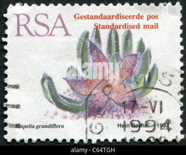 Sud Africa - 1993: un timbro stampato in Sud Africa (RSA), raffigura un fiore Stapelia grandiflora Foto Stock