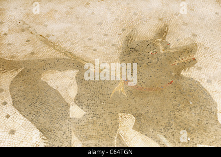 Attenzione di cane pavimento a mosaico, all'ingresso della Casa del Poeta Tragico, Pompei Foto Stock
