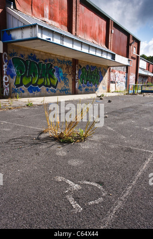 Vista esterna di un negligente shopping mall in attesa di sviluppo da Ikea. Foto Stock