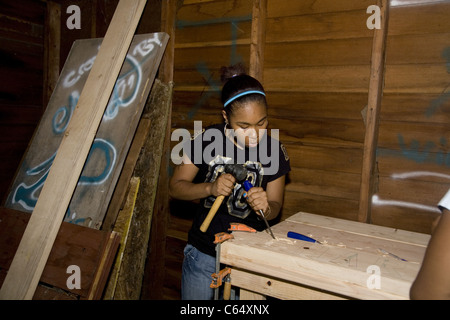 Alta scuola teen scolpisce un segno nel schiarimento Brightmoor estate progetto la costruzione di un parco nella città interna Detroit Foto Stock