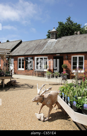 Station Wagon Elveden Lifestyle negozi Thetford Foto Stock