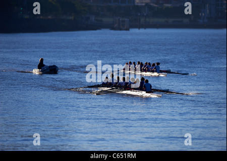 Il canottaggio 8's sul Fiume Brisbane Queensland Australia Foto Stock