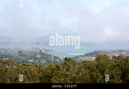 Vista della Baia di Richardson prelevato dalla sommità del Muir Woods National Monument a Marin County, California Foto Stock