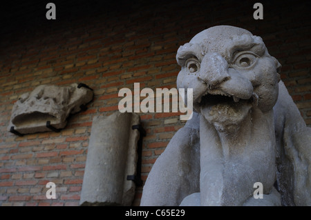 La chimera . Rinascimento ( Plateresque ) appartenente all'antiquarium - parete di ALCALA DE HENARES ( 13 th ).SPAGNA Foto Stock