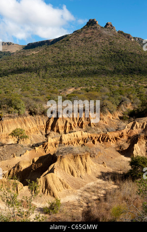 Erosione del suolo, Ithala Game Reserve, Sud Africa Foto Stock