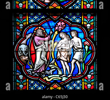 Bruxelles, Belgio. Cattedrale di San Michele. Finestra di vetro colorato. Adamo ed Eva nel giardino di Eden Foto Stock