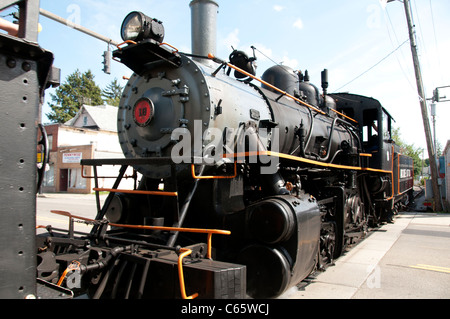 Arcade & Attica Railroad. Foto Stock