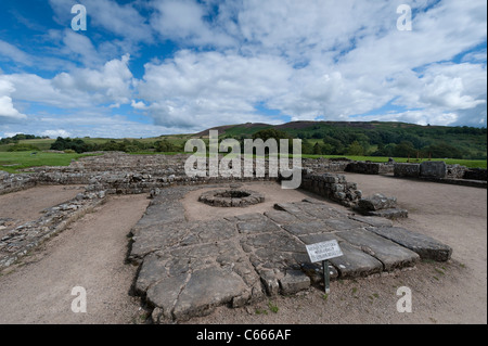 Vindolanda Roman Fort Foto Stock