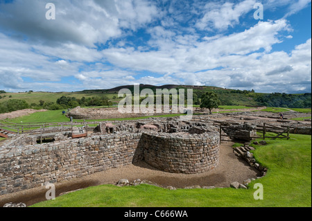 Vindolanda Roman Fort Foto Stock