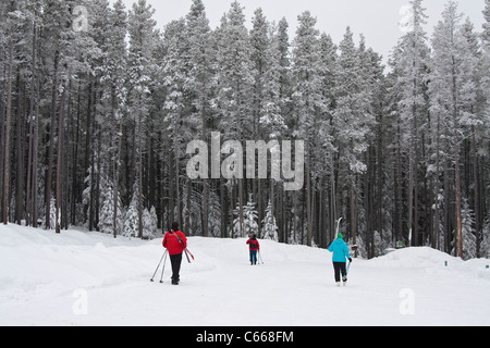 X-Sci di fondo a Cypress Hills Parco Provinciale, Saskatchewan, Canada Foto Stock