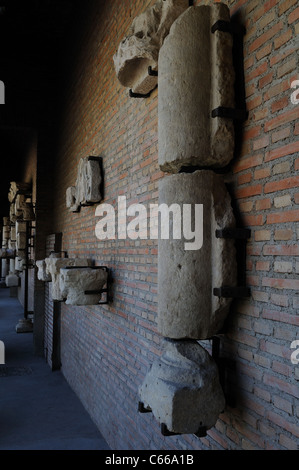 Colonna. Rinascimento ( Plateresque ) appartenente all'antiquarium - parete di ALCALA DE HENARES ( 13 th ).SPAGNA Foto Stock