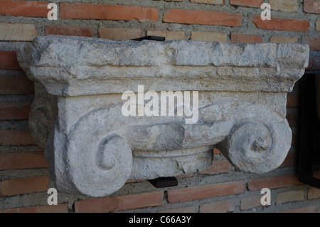 Capitello ionico . Rinascimento ( Plateresque ) appartenente all'antiquarium - parete di ALCALA DE HENARES ( 13 th ).SPAGNA Foto Stock