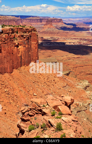 Il Buck Canyon Overlook, il Parco Nazionale di Canyonlands, Utah Foto Stock