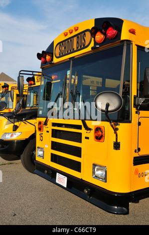 Parte anteriore di un giallo in parcheggio pulmann americano della scuola pubblica di autobus in linea con gli altri mezzi di trasporto scolastici, STATI UNITI D'AMERICA. Foto Stock