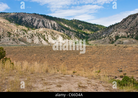 Gallatin National Forest sulla strada panoramica US 89 a Southwesten Montana vicino all'entrata nord del parco nazionale di Yellowstone. Foto Stock