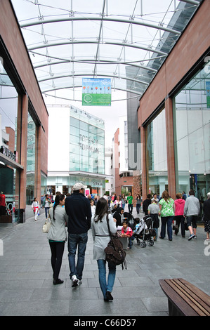 Topshop store, Princesshay Shopping Centre, Catherine Street, Exeter Devon, Inghilterra, Regno Unito Foto Stock