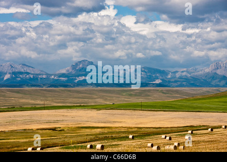 Balle di fieno sulle fattorie del Montana con montagne sullo sfondo, lungo la panoramica autostrada US 89. Foto Stock