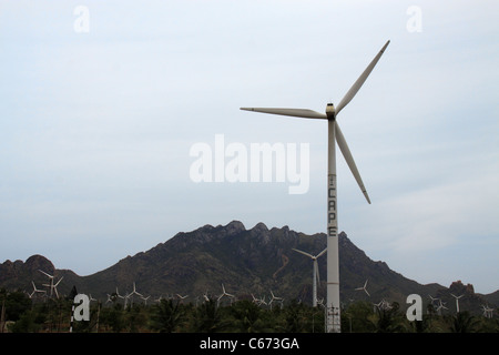 Le turbine eoliche ad Altamont Pass wind farm, STATI UNITI D'AMERICA Foto Stock