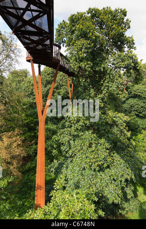 Londra, Kew Gardens Royal Horticultural Society - il Treetop marciapiede, 18m alto con struttura circolare a piedi attraverso gli alberi Foto Stock