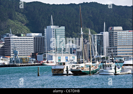 Andando Ocean Yachts barche motore e Crusiers ormeggiate nei crivelli superiori Marina da Oriental Bay Wellington Isola del nord della Nuova Zelanda NZ Foto Stock