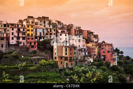 Borgo di Corniglia. Cinque Terre, Italia. Foto Stock