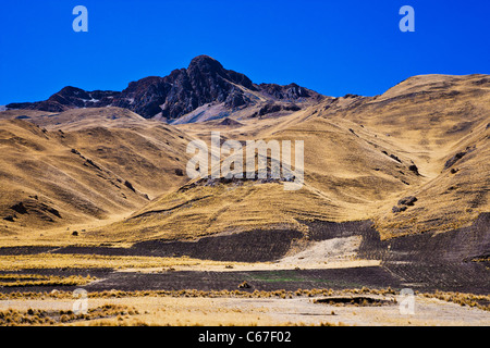 Altiplano o alta pianura o altopiano delle Ande presso il lago Titicaca in Perù, Sud America Foto Stock