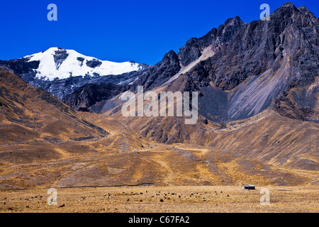 Altiplano o alta pianura o altopiano delle Ande presso il lago Titicaca in Perù, Sud America Foto Stock