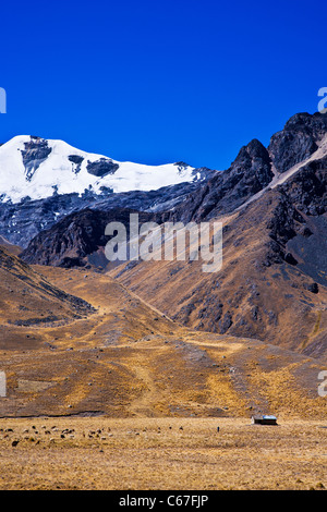 Altiplano o alta pianura o altopiano delle Ande presso il lago Titicaca in Perù, Sud America Foto Stock