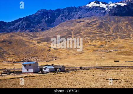 Altiplano o alta pianura o altopiano delle Ande presso il lago Titicaca in Perù, Sud America Foto Stock