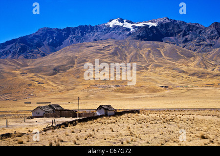 Un piccolo homestead sull'Altiplano o alta pianura o altopiano delle Ande presso il lago Titicaca in Perù, Sud America Foto Stock