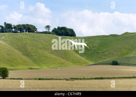 Il Cherhill White Horse, Cherhill giù, Wiltshire, Inghilterra, Regno Unito Foto Stock