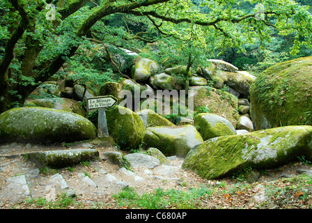 Il caos di rocce (Le Chaos de Rochers) in Huelgoat, una ridda di centinaia di grandi massi in una antica foresta. Foto Stock