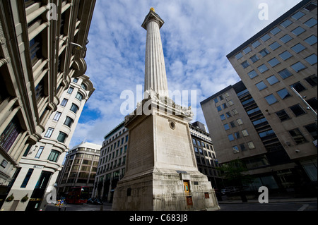Il Monumento, eretto nei pressi di Pudding Lane, dove iniziò il Grande incendio di Londra nel 1666, che ora è un'attrazione turistica londinese Foto Stock