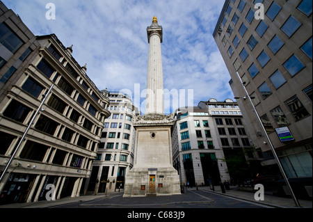 Il Monumento, eretto nei pressi di Pudding Lane, dove iniziò il Grande incendio di Londra nel 1666, che ora è un'attrazione turistica londinese Foto Stock