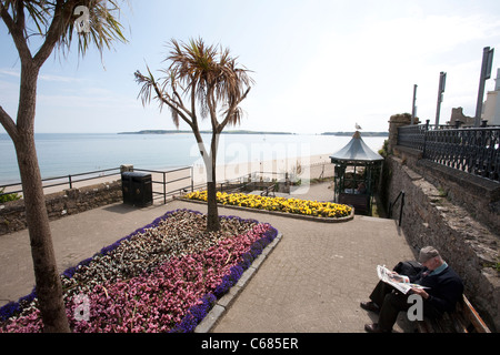 Tenby, murata cittadina balneare in Pembrokeshire, Carmarthen Bay, South West Wales. Foto:Jeff Gilbert Foto Stock