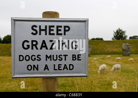 Segno pubblico avviso per tenere i cani al guinzaglio come pecore al pascolo sono Foto Stock