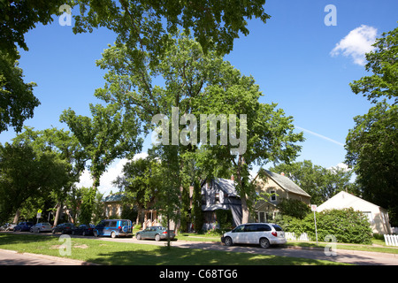 Quartiere residenziale sul viale alberato nella città di Saskatoon Saskatchewan Canada Foto Stock