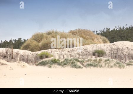 Paesaggio della costa di Opal in Francia Foto Stock