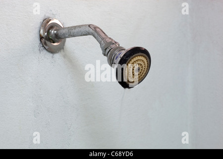 Testa di doccia in hotel economici bagno Foto Stock