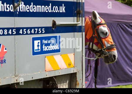 Giostra cavallo al ventottesimo Southport Flower Show Showground Victoria Park, Southport, 2011 Merseyside, Regno Unito Foto Stock