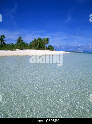 Isola tropicale, atollo di Aitutaki, Isole Cook, Oceano Pacifico del Sud Foto Stock