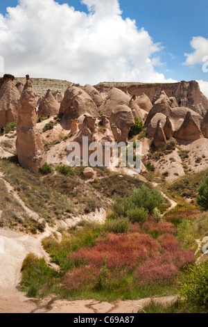 Devrent valley cliff scenario geografia, natinational park Cappadocia scenario turismo Turchia, Cappadoce Ürgup Devrent Valley Foto Stock