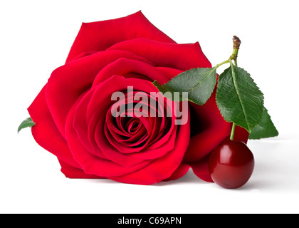 Il velluto rosso e rosa ciliegia isolati su sfondo bianco Foto Stock