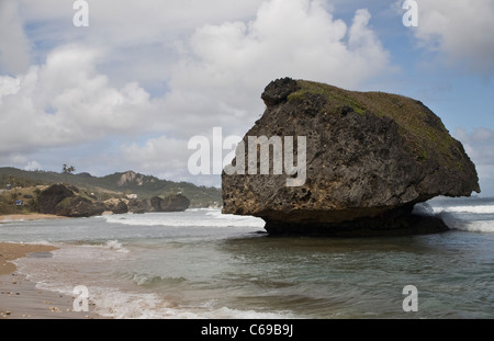 Bathsheba Beach, Barbados Foto Stock