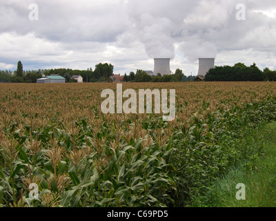 Lungo il fiume Loira ci sono molte centrali nucleari. Questo è a San Laurent des Eaux, vicino a Blois. Francia Foto Stock