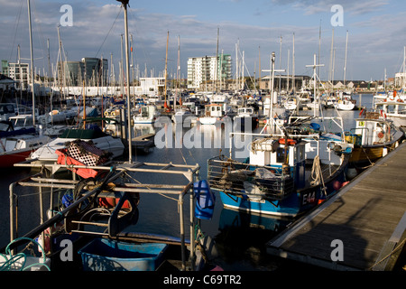 Barche da pesca in Sutton Harbour per il Barbican, Plymouth. Foto Stock