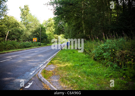 La donna e il suo cane nero camminando lungo il lato di una strada in una foresta Foto Stock