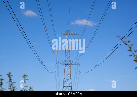 Tralicci di energia elettrica Foto Stock